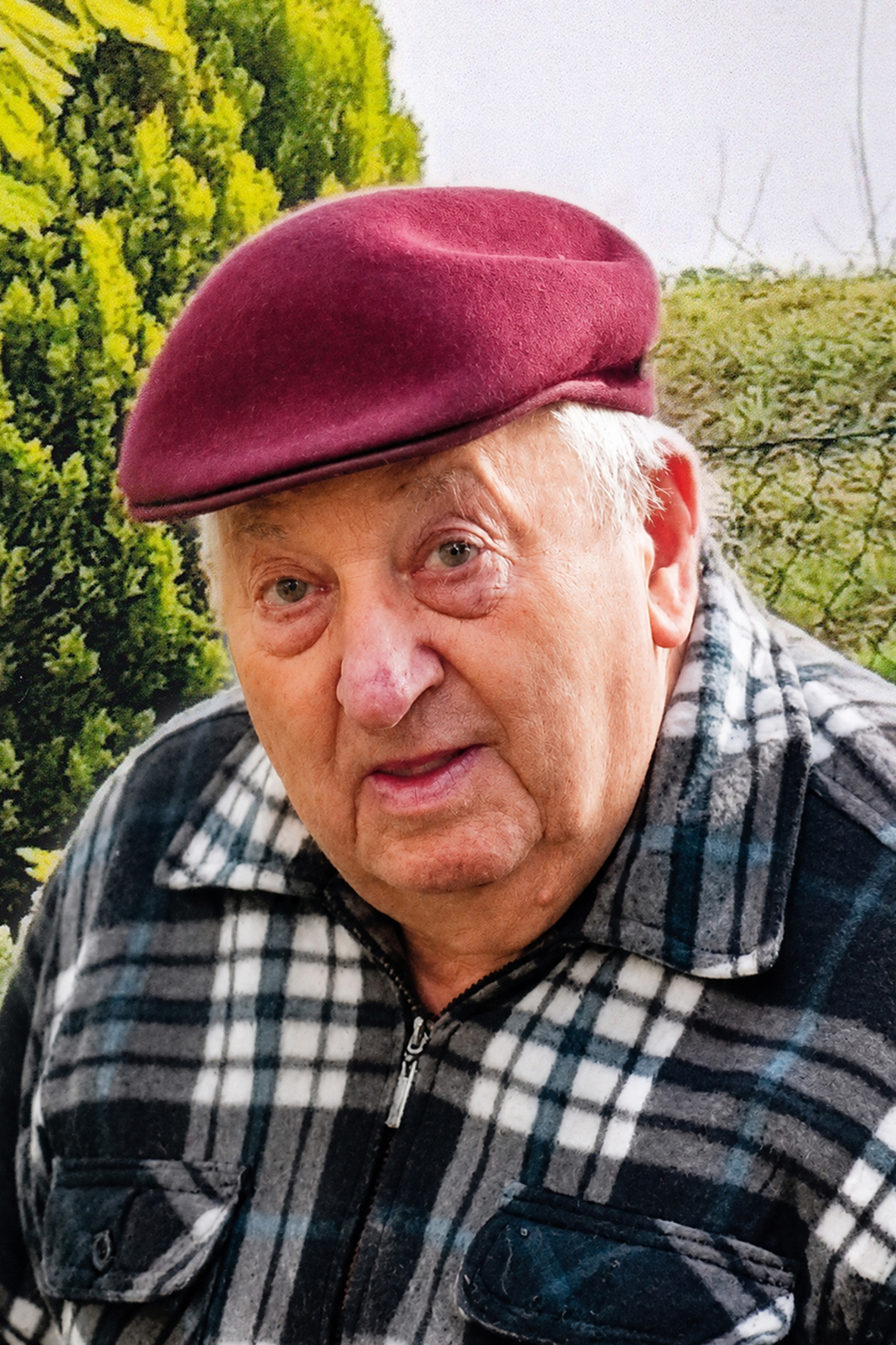 Giuseppe Leonelli